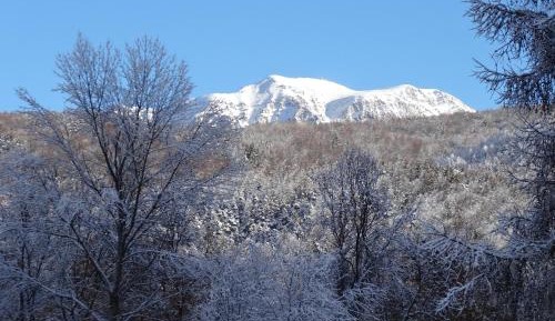 Double Room with Mountain View