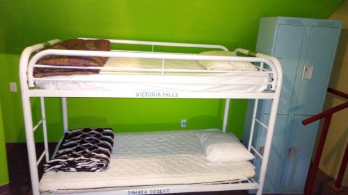 Single Bed in 10-Bed Dormitory Room