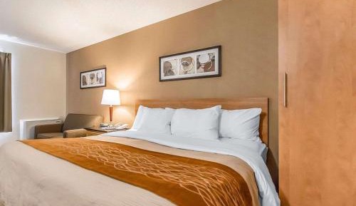 Deluxe King Room with Sofa Bed, Ground Floor
