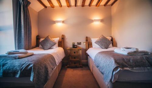 Standard Twin Room with Mountain View