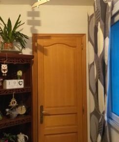 Apartment with Garden View
