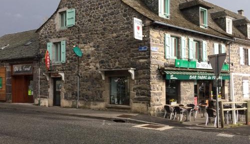 Bunk Bed in Mixed Dormitory Room
