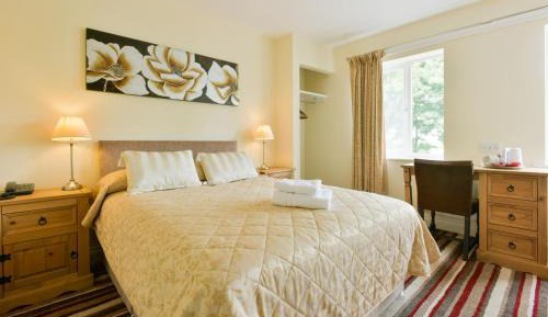 Standard  Double Room