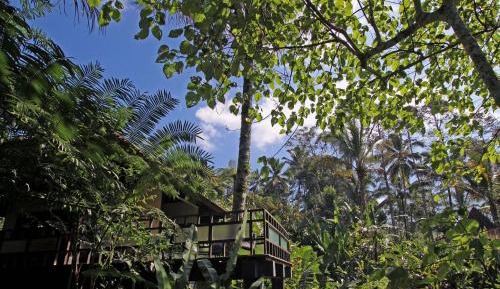 Honeymoon Suite with Valley View
