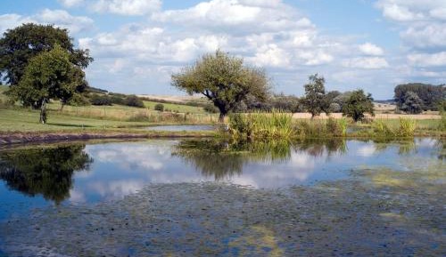 Three-Bedroom Vacation Home 