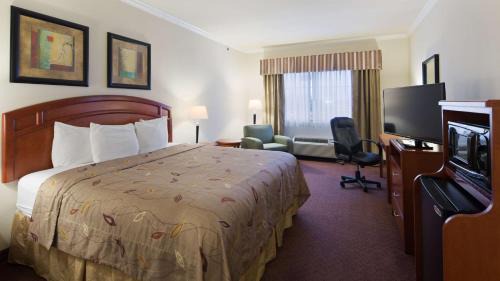 King Room - Non-Smoking