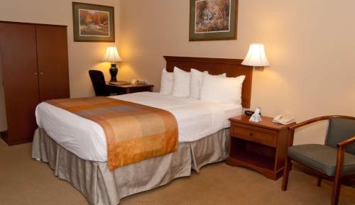 Queen Room - Disability Access - Non Smoking