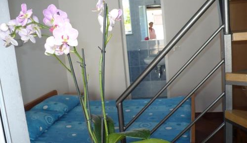 Family Duplex Room