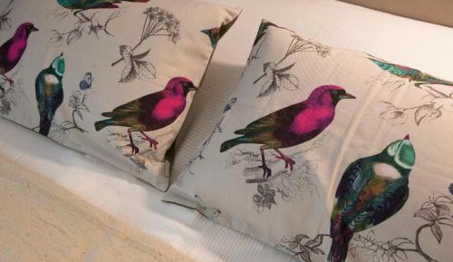 Ground Floor - Superior Double Room