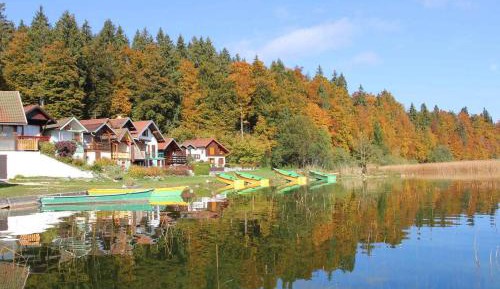 Suite with Garden View