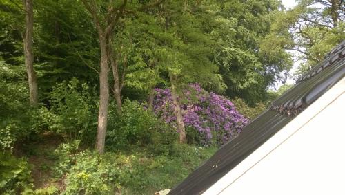 Family Room with Garden View