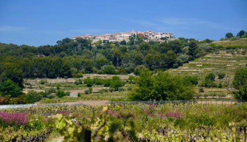 Deluxe Double Studio