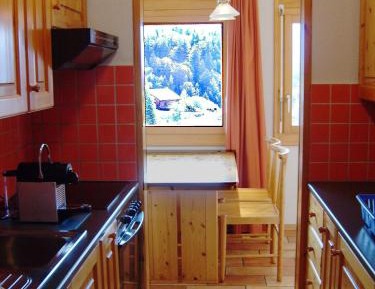 Apartment with Mountain View