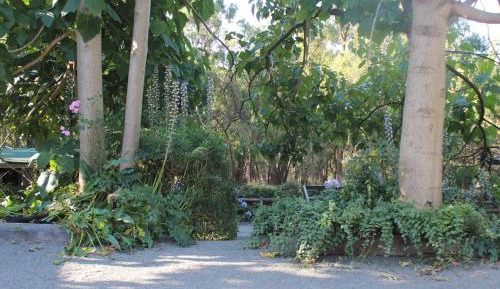 Two-Bedroom Bungalow