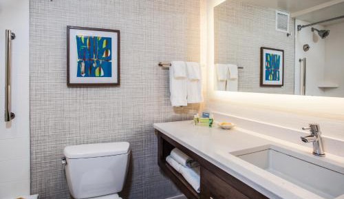 Standard King Room with Mobility Accessible Tub