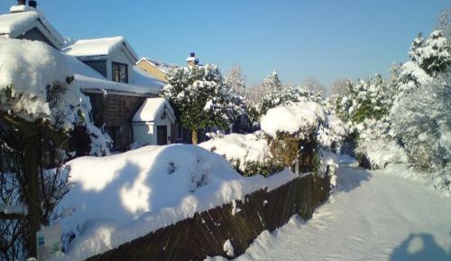 Three-Bedroom Vacation Home 