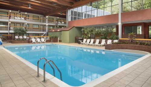 Deluxe Double Room with Two Double Beds and Pool View - Non-Smoking