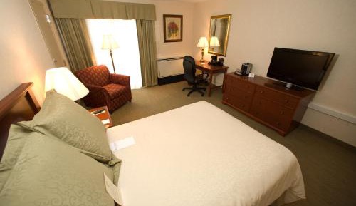 1 Double Bed, Court