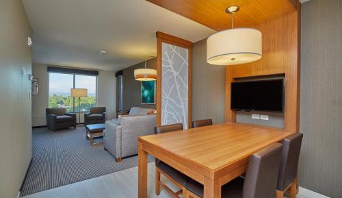 One-Bedroom King Suite with Sofa Bed