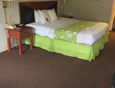 Standard King Room - Non-Smoking 