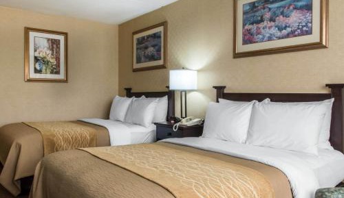 Double Room with Two Double Beds - Non-Smoking