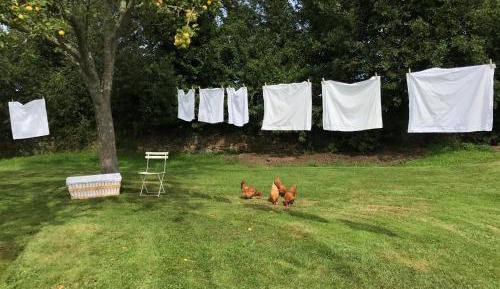 Double Room with Park View