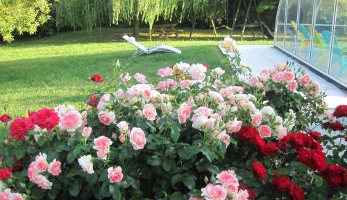 Family Suite with Private Bathroom