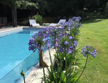 Two-Bedroom Cottage (5 Adults)