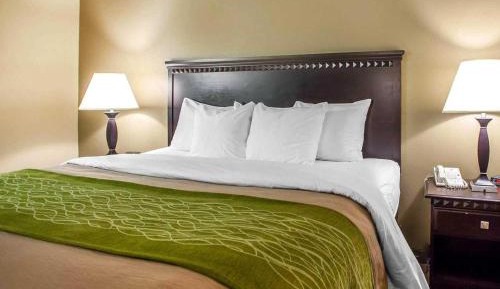 Non-Smoking Single Queen Room