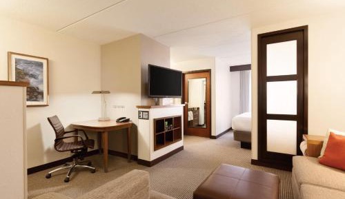 Specialty King Room with Sofa Bed