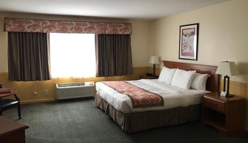 Standard King Room