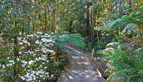 Rainforest One-Bedroom Cottage with Hot Tub