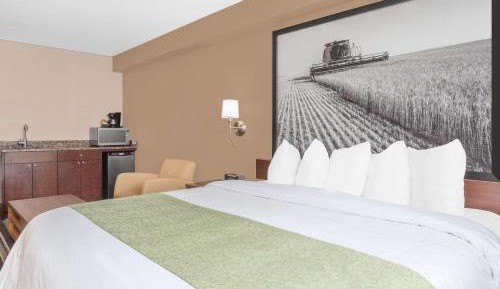 Business King Room