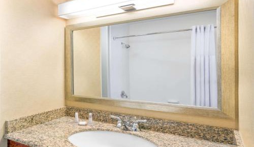 One-Bedroom King Suite - Non-Smoking