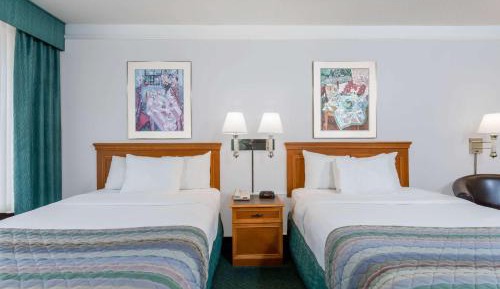 Studio with 2 Double Beds - Non-Smoking
