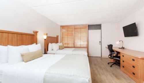 2 Double Beds Casita Suite
