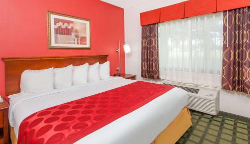 1 King Bed, One-Bedroom Suite, Non-Smoking