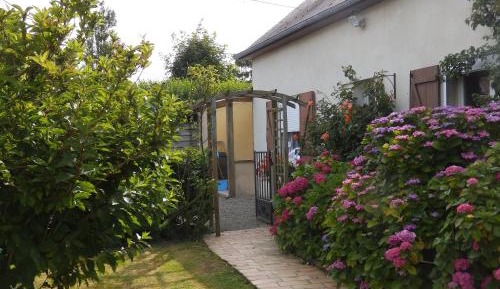 Studio with Garden View
