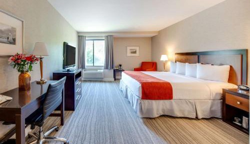 King Room - Disability Access/Non-Smoking