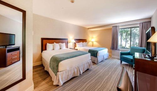 Double Room with Two Double Beds