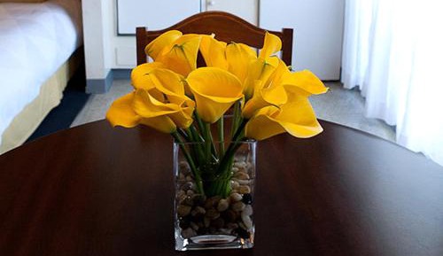 Executive Deluxe Suite