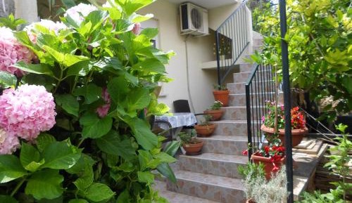 Studio with Terrace
