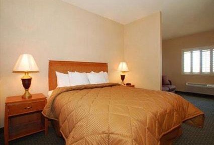 Deluxe King Suite with Sitting Area and Sofa Bed - Non-Smoking