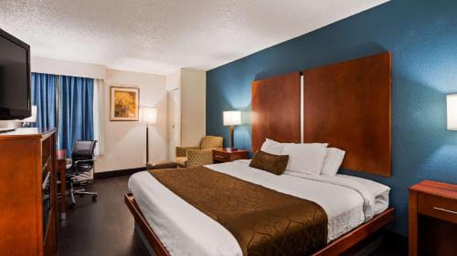 King Room Pet Friendly - Non Smoking