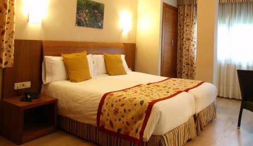 Double or Twin Room with Spa Access