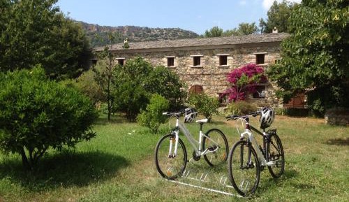 Double Room with Park View