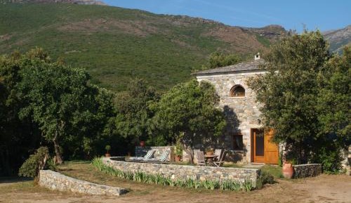 Comfort One-Bedroom Cottage