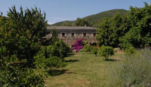 Comfort One-Bedroom Cottage