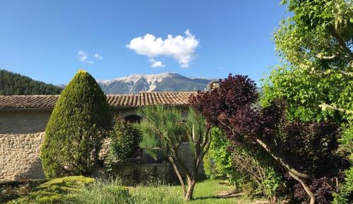 Double Room with Mountain View