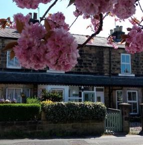 Two-Bedroom Townhouse